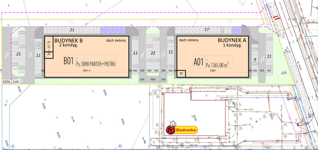 Plan zagospodarowania terenu